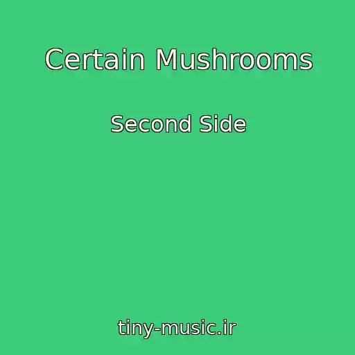 کاور آهنگ Certain Mushrooms از Second Side
