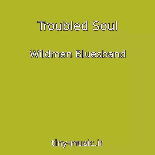 کاور آهنگ Troubled Soul از Wildmen Bluesband