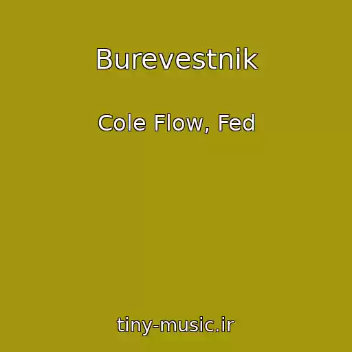 کاور آهنگ Burevestnik از Cole Flow, Fed