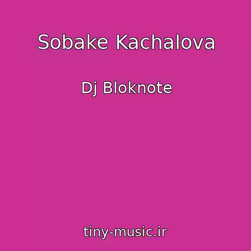 کاور آهنگ Sobake Kachalova از Dj Bloknote