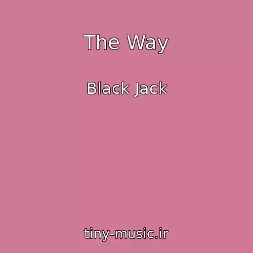 کاور آهنگ The Way از Black Jack