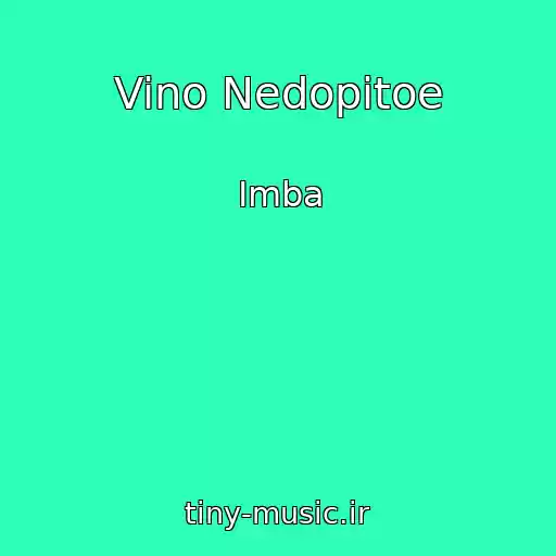 کاور آهنگ Vino Nedopitoe از Imba