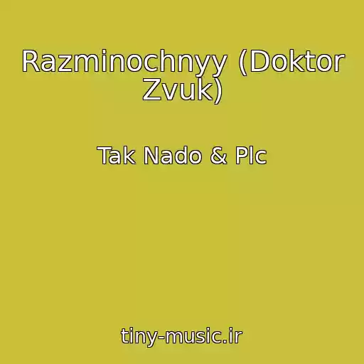 کاور آهنگ Razminochnyy (Doktor Zvuk) از Tak Nado & Plc