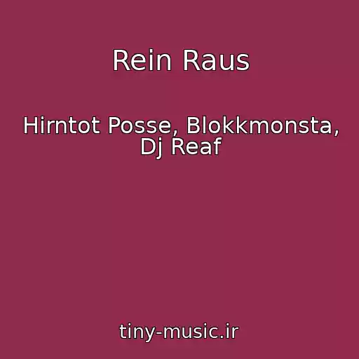 کاور آهنگ Rein Raus از Hirntot Posse, Blokkmonsta, Dj Reaf