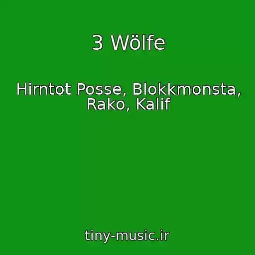 کاور آهنگ 3 Wölfe از Hirntot Posse, Blokkmonsta, Rako, Kalif