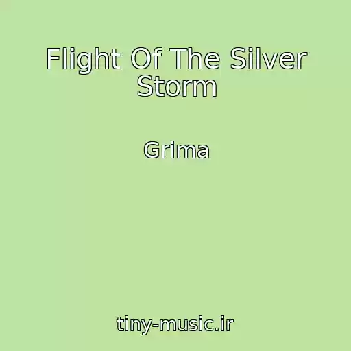 کاور آهنگ Flight Of The Silver Storm از Grima