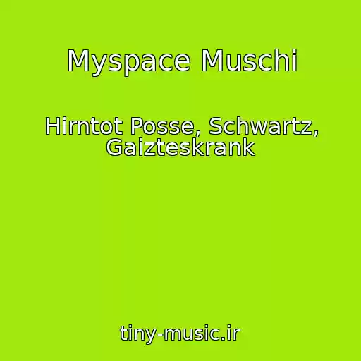 کاور آهنگ Myspace Muschi از Hirntot Posse, Schwartz, Gaizteskrank