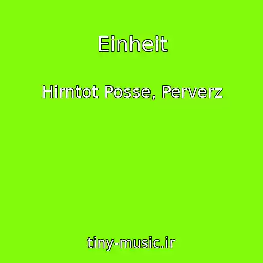کاور آهنگ Einheit از Hirntot Posse, Perverz