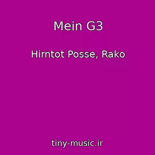 کاور آهنگ Mein G3 از Hirntot Posse, Rako