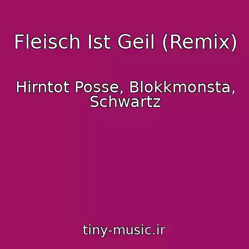 کاور آهنگ Fleisch Ist Geil (Remix) از Hirntot Posse, Blokkmonsta, Schwartz
