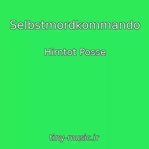 کاور آهنگ Selbstmordkommando از Hirntot Posse