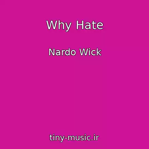 کاور آهنگ Why Hate از Nardo Wick