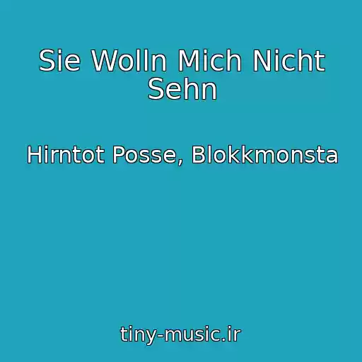 کاور آهنگ Sie Wolln Mich Nicht Sehn از Hirntot Posse, Blokkmonsta