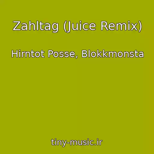 کاور آهنگ Zahltag (Juice Remix) از Hirntot Posse, Blokkmonsta