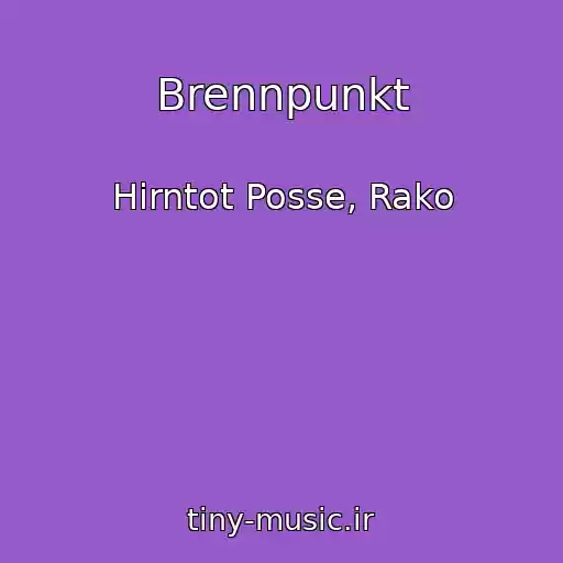 کاور آهنگ Brennpunkt از Hirntot Posse, Rako