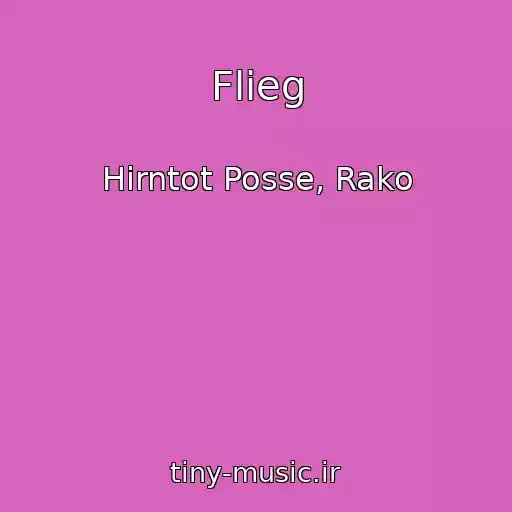 کاور آهنگ Flieg از Hirntot Posse, Rako