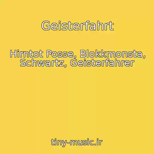 کاور آهنگ Geisterfahrt از Hirntot Posse, Blokkmonsta, Schwartz, Geisterfahrer