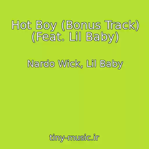 کاور آهنگ Hot Boy (Bonus Track) (Feat. Lil Baby) از Nardo Wick, Lil Baby