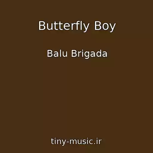 کاور آهنگ Butterfly Boy از Balu Brigada