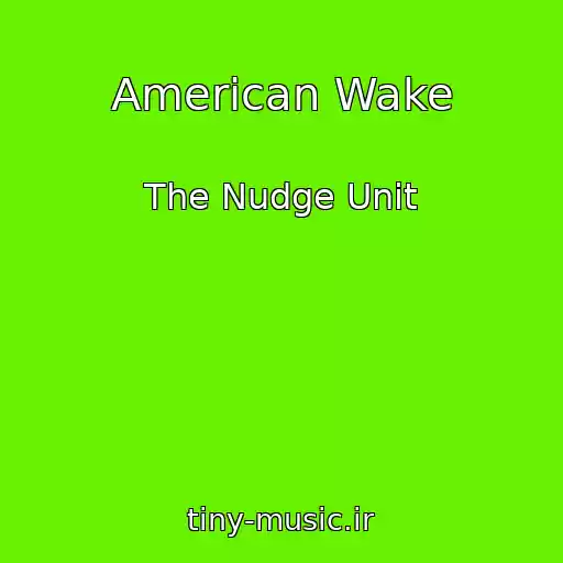 کاور آهنگ American Wake از The Nudge Unit