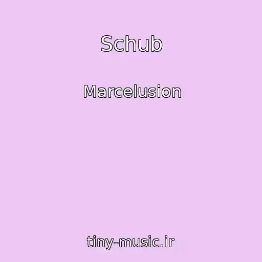کاور آهنگ Schub از Marcelusion