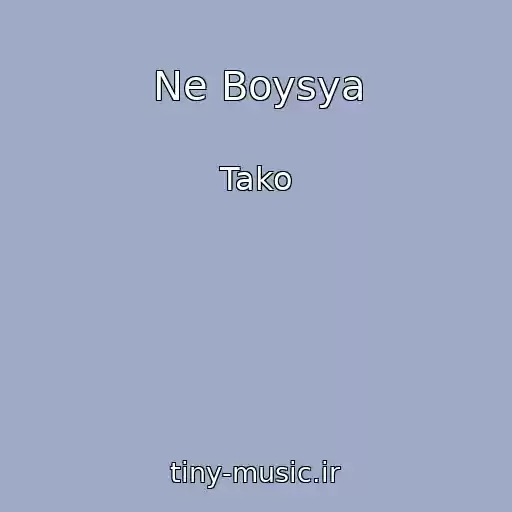 کاور آهنگ Ne Boysya از Tako