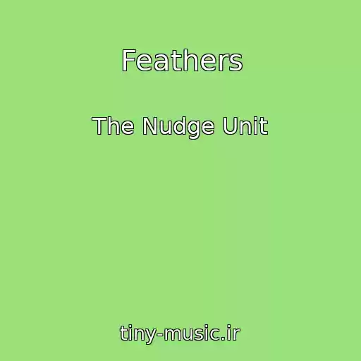 کاور آهنگ Feathers از The Nudge Unit
