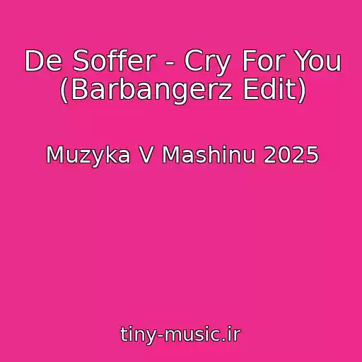 کاور آهنگ De Soffer - Cry For You (Barbangerz Edit) از Muzyka V Mashinu 2025