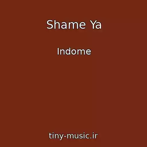 کاور آهنگ Shame Ya از Indome