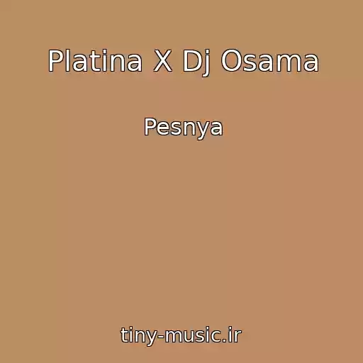 کاور آهنگ Platina X Dj Osama از Pesnya