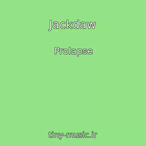 کاور آهنگ Jackdaw از Prolapse