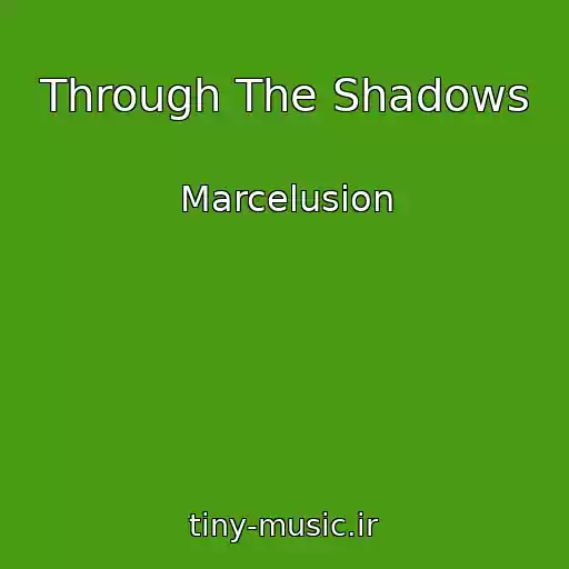 کاور آهنگ Through The Shadows از Marcelusion