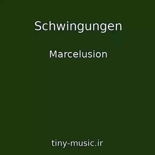 کاور آهنگ Schwingungen از Marcelusion