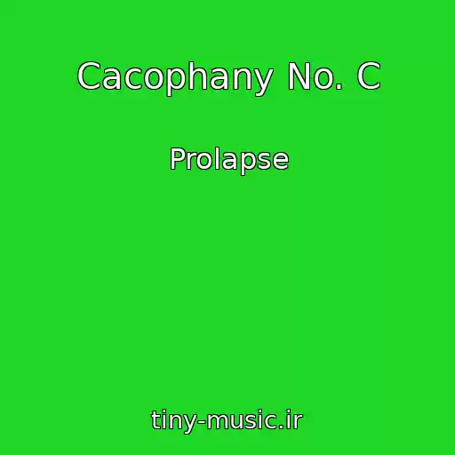 کاور آهنگ Cacophany No. C از Prolapse