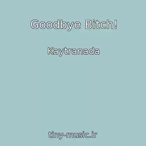 کاور آهنگ Goodbye Bitch! از Kaytranada