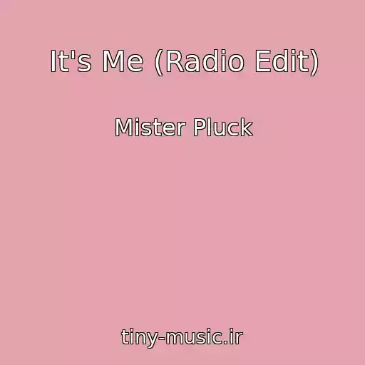 کاور آهنگ It's Me (Radio Edit) از Mister Pluck