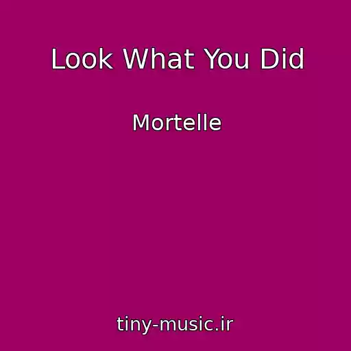 کاور آهنگ Look What You Did از Mortelle