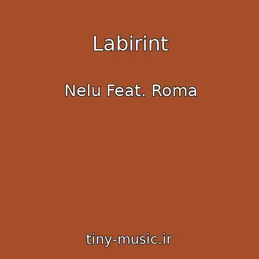 کاور آهنگ Labirint از Nelu Feat. Roma