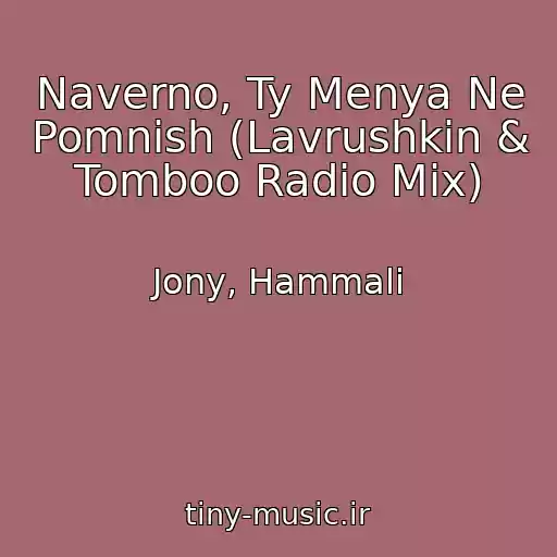 کاور آهنگ Naverno, Ty Menya Ne Pomnish (Lavrushkin & Tomboo Radio Mix) از Jony, Hammali