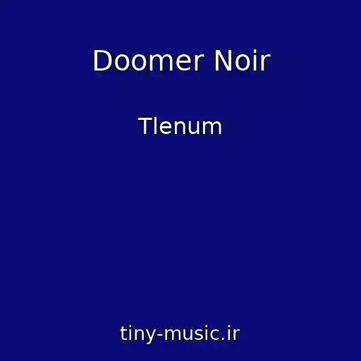 کاور آهنگ Doomer Noir از Tlenum