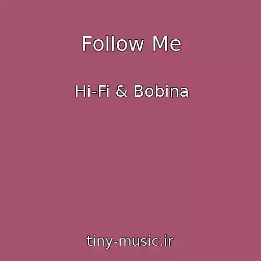 کاور آهنگ Follow Me از Hi-Fi & Bobina