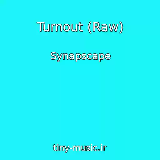 کاور آهنگ Turnout (Raw) از Synapscape