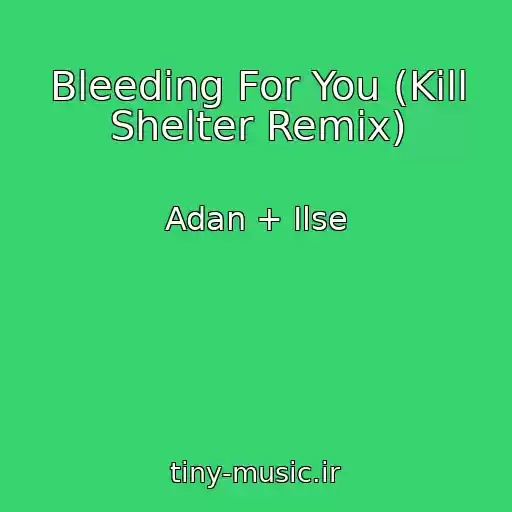 کاور آهنگ Bleeding For You (Kill Shelter Remix) از Adan + Ilse
