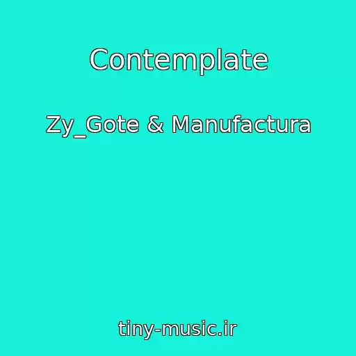 کاور آهنگ Contemplate از Zy_Gote & Manufactura