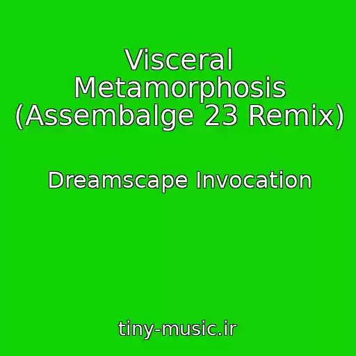 کاور آهنگ Visceral Metamorphosis (Assembalge 23 Remix) از Dreamscape Invocation