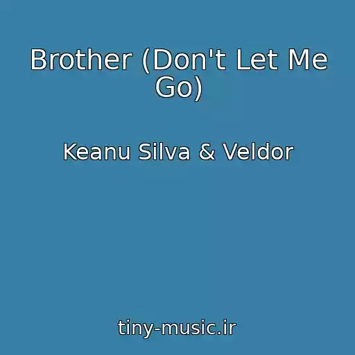 کاور آهنگ Brother (Don't Let Me Go) از Keanu Silva & Veldor