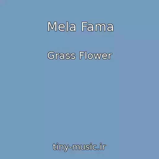 کاور آهنگ Mela Fama از Grass Flower