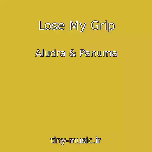 کاور آهنگ Lose My Grip از Aludra & Panuma