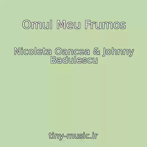 کاور آهنگ Omul Meu Frumos از Nicoleta Oancea & Johnny Badulescu