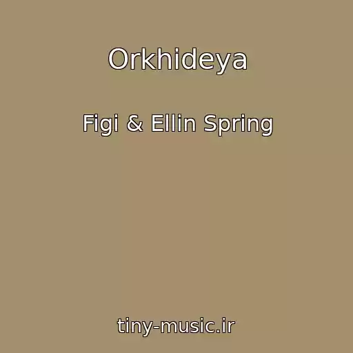 کاور آهنگ Orkhideya از Figi & Ellin Spring